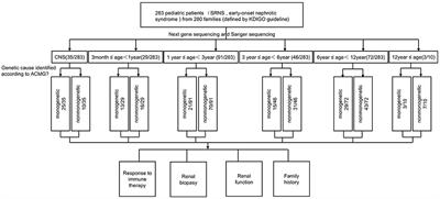 The Clinical and Genetic Features in Chinese Children With Steroid-Resistant or Early-Onset Nephrotic Syndrome: A Multicenter Cohort Study